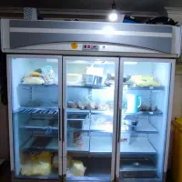 فریزر ایستاده صنعتی