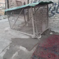 قفس سگ و کبوتر