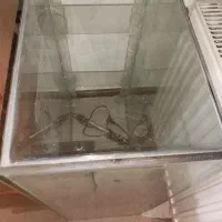 آکواریم شیشه خم شرکتی درحد|ماهی|رباطکریم, رباطکریم|دیوار