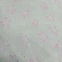 چادر عقد|لباس|نیشابور, شریعتی|دیوار