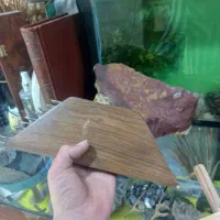 مینی سنتور|سازهای سنتی|تهران, مینای شمالی (مخبر)|دیوار