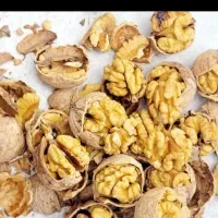 گردو درجه یک وشنوه