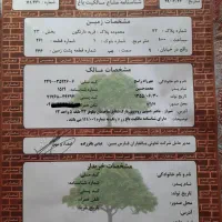 فروش زمین ۱۰۰۰ متری در سیاخ دارنگون