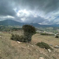 زمین ویلایی لنگر|فروش زمین و ملک کلنگی|کیاسر, |دیوار
