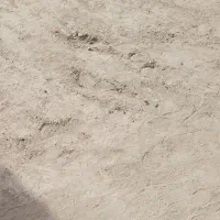 زمین کشاورزی