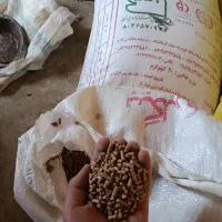 خوراک دام|لوازم جانبی حیوانات|گوآور, |دیوار