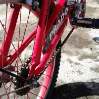 دوچرخه ۲۰|دوچرخه، اسکیت، اسکوتر|بندر انزلی, تختی|دیوار