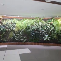 فضای سبز (طراحی - کاشت - نگهداری)