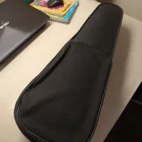 کیس ویولن|ویولن|تهران, ستارخان|دیوار