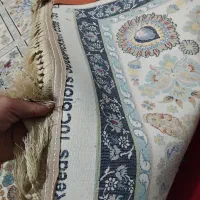 فرش۹متری|فرش|گرگان, |دیوار