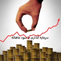 نیازمندسرمایه گذار با سرمایه اولیه و دست چک معتبر