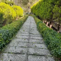 گل کاری و باغبانی نگهداری از باغچه