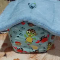 خونه گوگولی عروس و کوتوله|لوازم جانبی حیوانات|مشهد, امیرآباد|دیوار