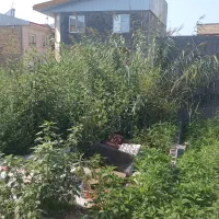 زمین ۸۱ متر دوبر|فروش زمین و ملک کلنگی|رشت, حمیدیان|دیوار