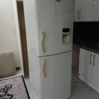 یخچال الکترو استیل