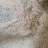 حدود هزار من کاه ینجه و کاه سفید درجه یک|لوازم جانبی حیوانات|جونقان, |دیوار