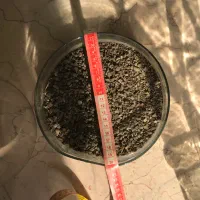 گلدان|گل و گیاه طبیعی|تهران, گیشا|دیوار