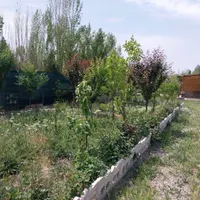 باغچه ۶۰۰متری فیروز بهرام|فروش زمین و ملک کلنگی|تهران, شهرک طالقانی|دیوار