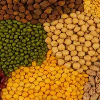 فروش جزئی و کلی حبوبات با مناسب ترین قیمت