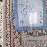 یک عددفرش ۹متری ۱۲۰۰شانه تراکم ۳۶۰۰|فرش|آق قلا, |دیوار