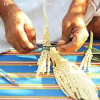 بونخل بدرمان‌ناباروری‌تقوجنسی‌کمخونی‌پوکی‌استخان‌و|خوردنی و آشامیدنی|مشهد, الهیه|دیوار