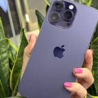Purple 14 mx دوربین عالی با طلا و بتا