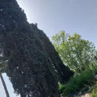 زمین با کاربری گلخانه ، اسطبل ، سردخانه ، باغ شهری