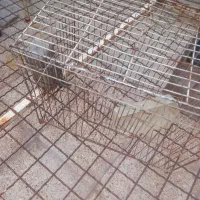 قفس پرنده