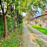 خونه باغ روستایی مشجر و دنج و آرام/ داخل بافت|فروش خانه و ویلا|چمستان, |دیوار