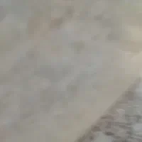 خروس