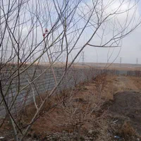 فروش زمین ۵۴۵مترداخل مجتمع ویلایی سندارملکی فردوسی|فروش زمین و ملک کلنگی|مشهد, انصار|دیوار