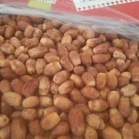 فروش خرما زاهدی