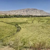 دریافت سرمایه ازاد و تهاتر ملک در تهران و اصفهان