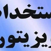 استخدام ویزیتور