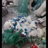 تورپرتابی یاسالیک ماهیگیری|ماهیگیری|مشهد, شهرک رازی (شهرک غرب)|دیوار