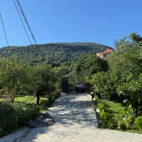 فروش یا معاوضه خانه باغ ویلایی|فروش خانه و ویلا|رامسر, |دیوار