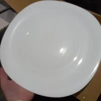 ظرف ارکوپال مارک دینو مربع