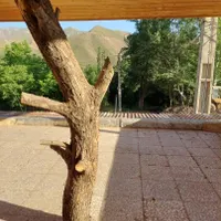 سوییت|اجارهٔ کوتاه‌مدت آپارتمان و سوئیت|طالقان, |دیوار