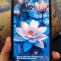 Redmi 9 global|موبایل|ری, صفاییه (چشمه علی)|دیوار