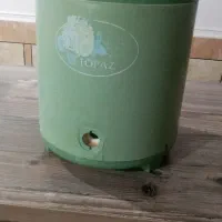 کلمن