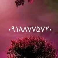 ۲۰ ۵۷ ۸۷۷ ۰۹۱۸