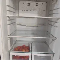 یخچال گل استار