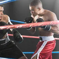 بوکس . کیک بوکسینگ . ووشو|خدمات آموزشی|مشهد, چهارچشمه|دیوار