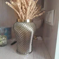 گلدان سالم نو