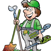 هرس و خدمات باغبانی آذری