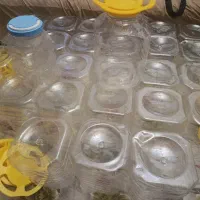 ظرف پلاستیکی
