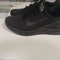 فروش|کیف، کفش، کمربند|سقز, |دیوار