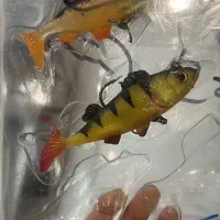 بالا ترین تنوع لور ماهیگیری|ماهیگیری|اصفهان, نقش جهان|دیوار