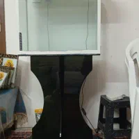 سلام فروش اکفاریوم