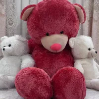 خرس ۲متری و۲تاخرس ۱متری